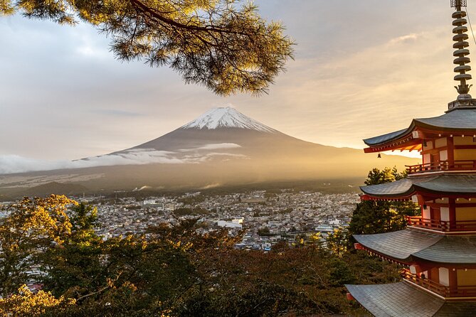 Private Tour to Mt Fuji and Hakone With English Speaking Driver - Pricing and Booking