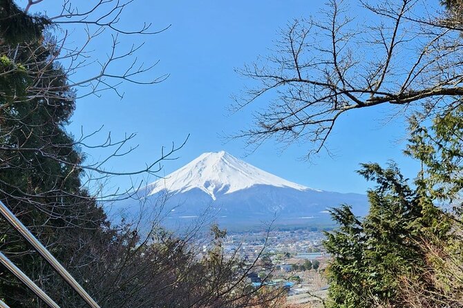 Day Mount Fuji Private Tour English Speaking Driver - Traveler Reviews and Ratings
