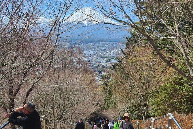 Day Private Tour of Hakone With English Speaking Driver - Conclusion