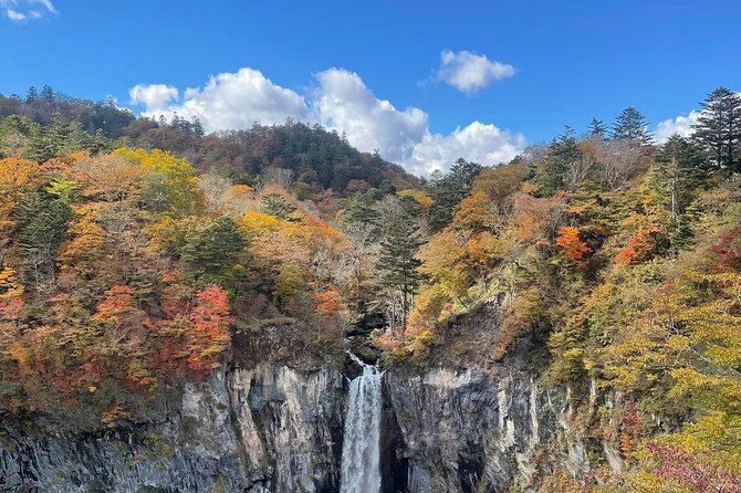 Full Day Nikko Private Tour With English Speaking Guide. - Frequently Asked Questions