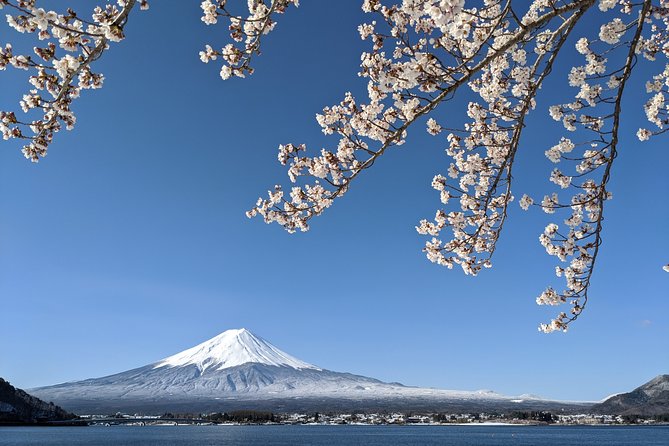 Private Car Tour to Mt. Fuji Lake Kawaguchiko or Hakone Lake Ashi - Sightseeing Highlights