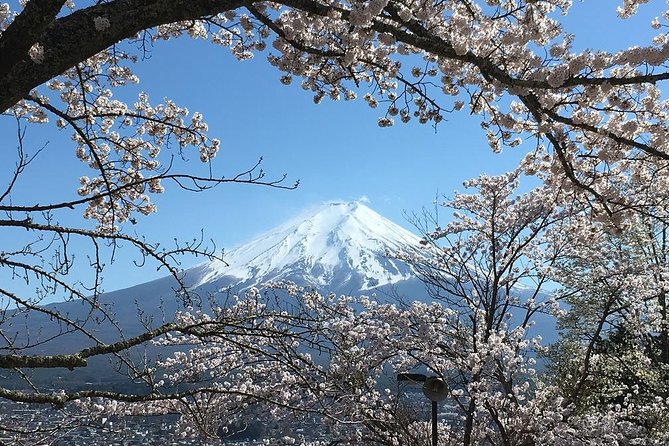 Private Car Tour to Mt. Fuji Lake Kawaguchiko or Hakone Lake Ashi - Accessibility and Special Accommodations