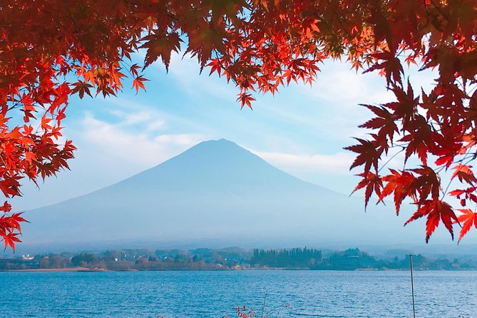Private Car Tour to Mt. Fuji Lake Kawaguchiko or Hakone Lake Ashi - Cancellation Terms