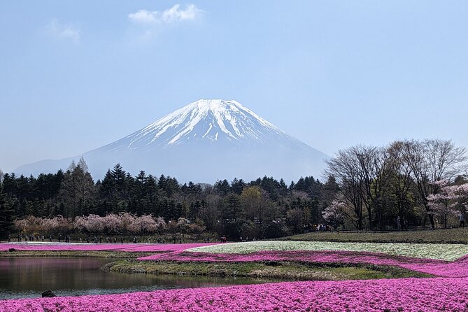 Private Car Mt Fuji and Gotemba Outlet in One Day From Tokyo - Additional Info