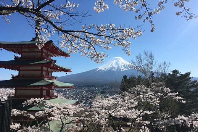 Private Car Mt Fuji and Gotemba Outlet in One Day From Tokyo - Frequently Asked Questions