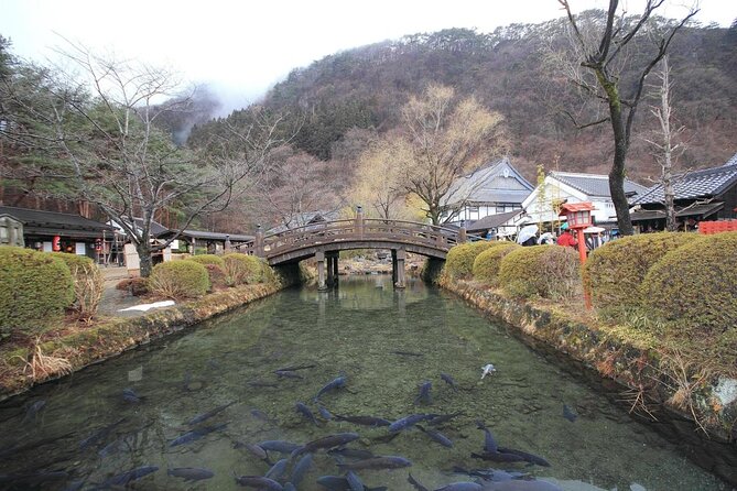 Chartered Private Tour - Tokyo to Nikko, Toshogu, Edo Wonderland - Guest Experiences