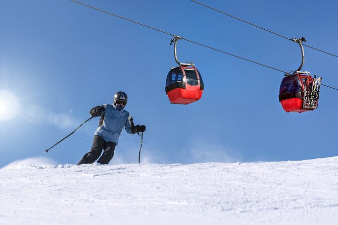 1-Day Private Ski Lesson From Tokyo With Mt. Fuji Sightseeing - Highlights