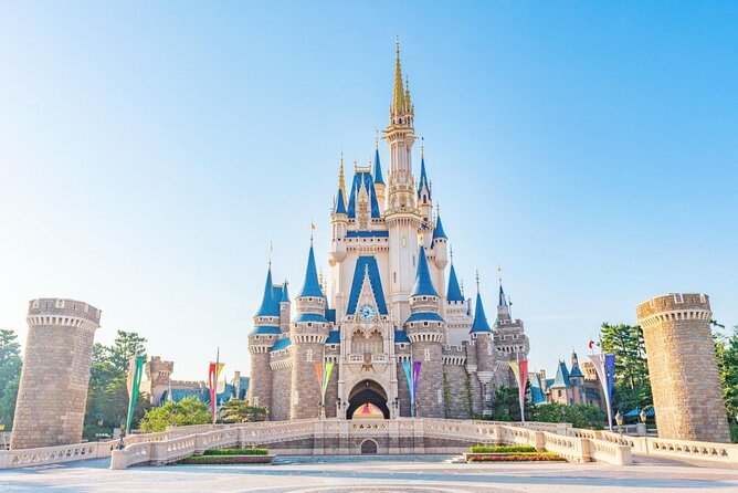 1 Day Ticket to Tokyo Disneyland With Private Transfer - Disneyland Experience Highlights