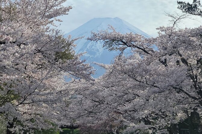 1 Day Tour Mt Fuji,Lake Kawaguchiko With English Speaking Guide - Key Takeaways