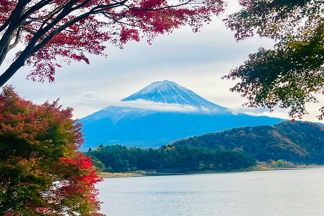 1 Day Tour Mt Fuji,Lake Kawaguchiko With English Speaking Guide - Inclusions