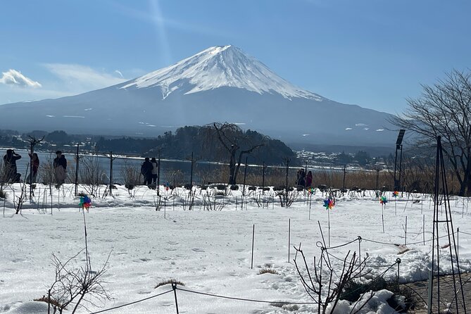 1 Day Tour Mt Fuji,Lake Kawaguchiko With English Speaking Guide - Meeting and Pickup Information