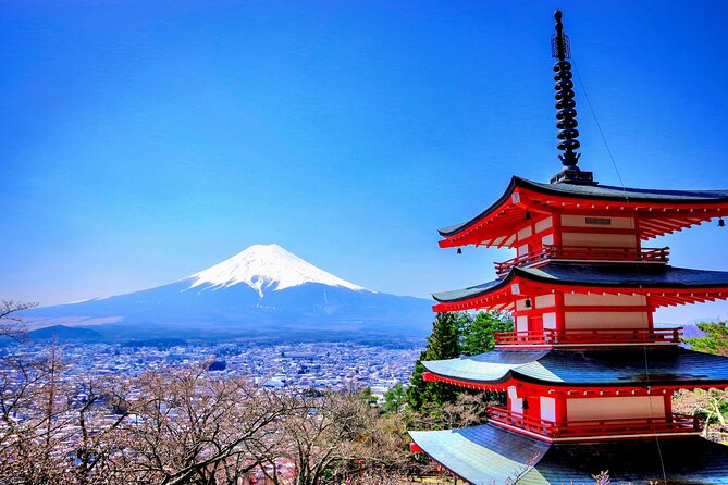 Mount Fuji and Hakone Full Day Private Sightseeing Tour - Key Takeaways