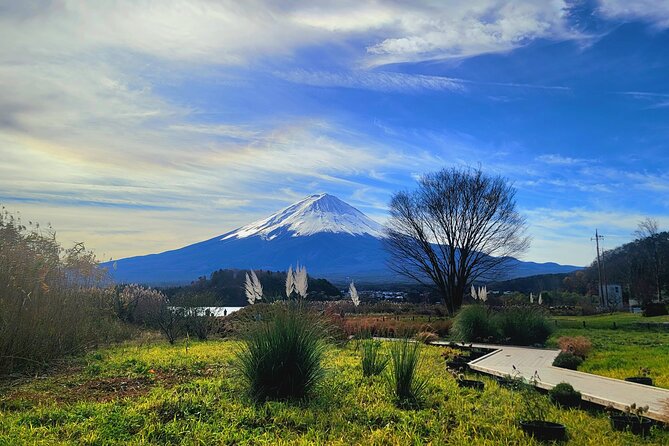 Mount Fuji and Hakone Full Day Private Sightseeing Tour - Reviews