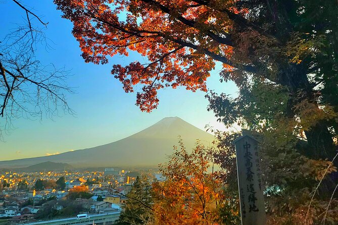 Mount Fuji and Hakone Full Day Private Sightseeing Tour - Additional Info