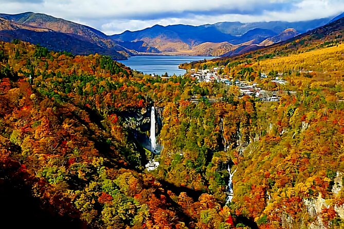 Full Day Private Tour in Nikko - Inclusions and Exclusions