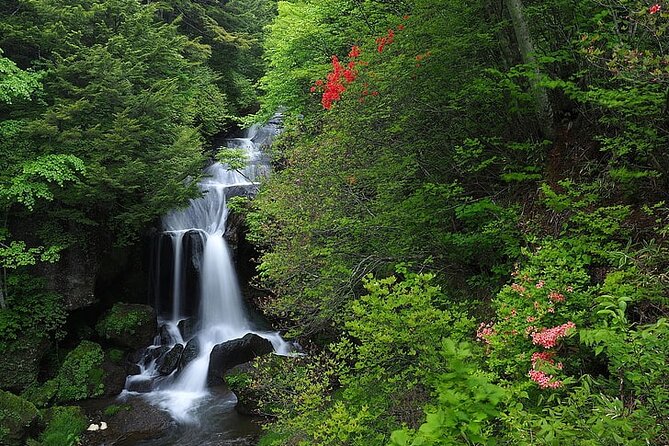 Nikko City Private Day Tour With English Speaking Driver - Key Takeaways