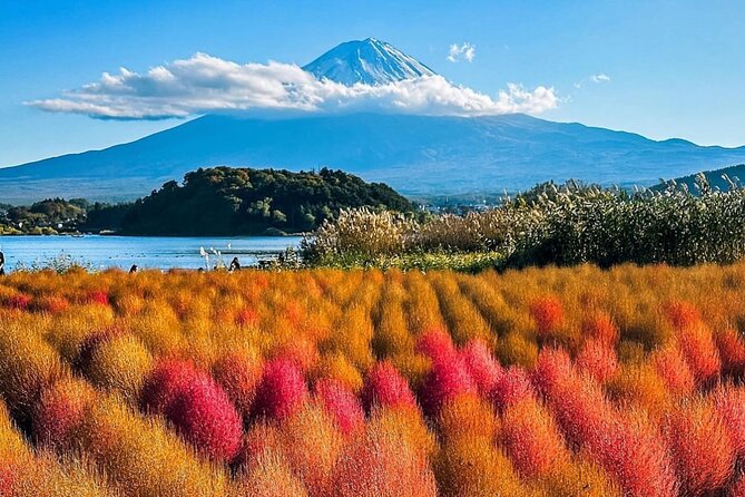 Mt Fuji and Hakone Private Day Tour With English Speaking Driver - Customer Reviews