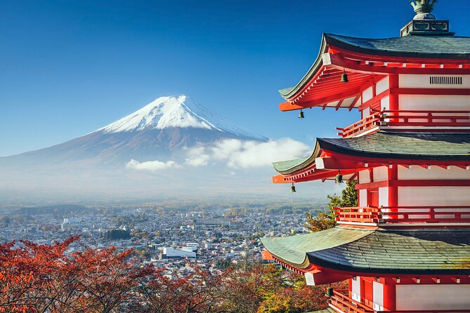 Full Day Private Tour of Mt Fuji and Hakone - Cancellation Policy