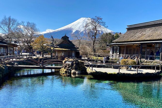 Full Day Private Tour of Mt Fuji and Hakone - Additional Information