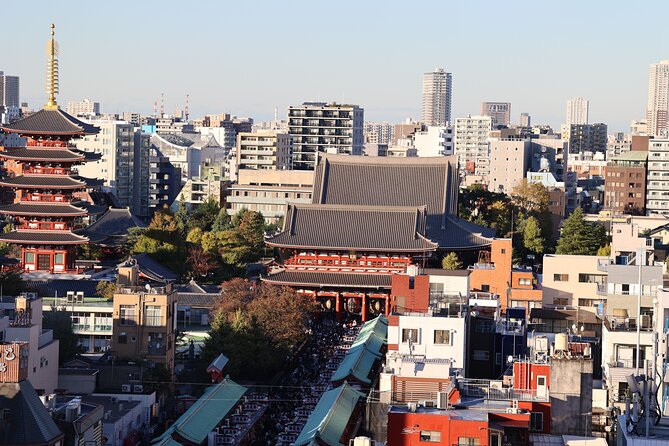 Private Tour in Maniac Places in Asakusa - Conclusion