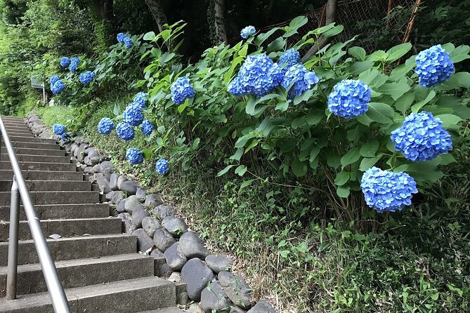 Walking the Only Valley in Tokyo, Eat and Compare Hot Pot Dishes. - Experiencing Japanese Hot Pot Varieties