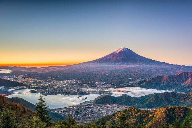 Mt. Fuji or Hakone Private Sightseeing Day Tour From Tokyo - Tour Provider and Recommendations