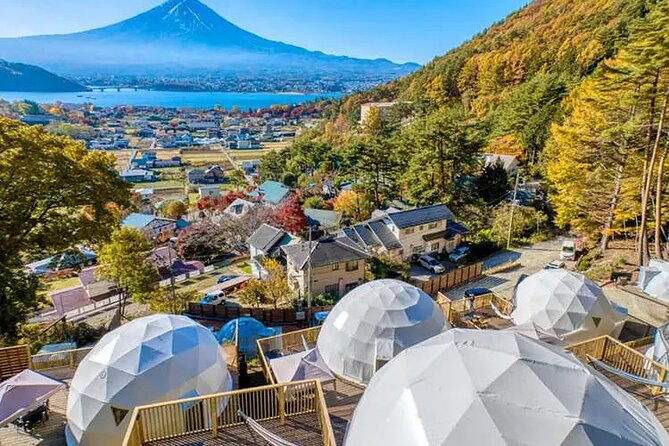 Mt. Fuji Private Tour by Car With Pick-Up From Tokyo - Customer Reviews