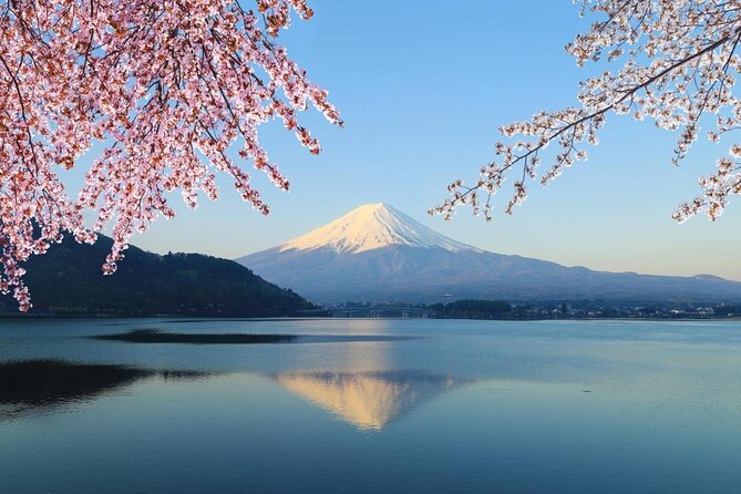 Mt Fuji, Hakone Private Tour by Car With Pickup - Key Takeaways