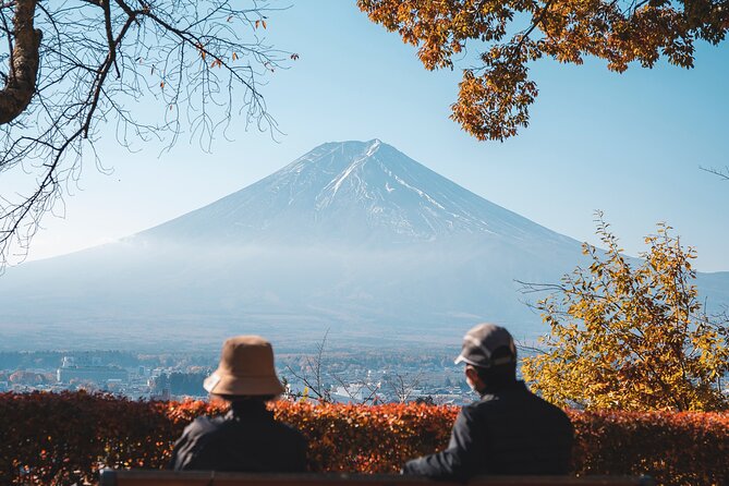 Mt Fuji, Hakone Private Tour by Car With Pickup - Additional Services