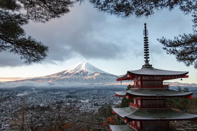 Mt Fuji, Hakone Private Tour by Car With Pickup - Cancellation Policy