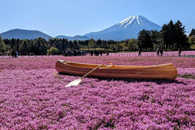 Mt Fuji, Hakone Private Tour by Car With Pickup - Frequently Asked Questions