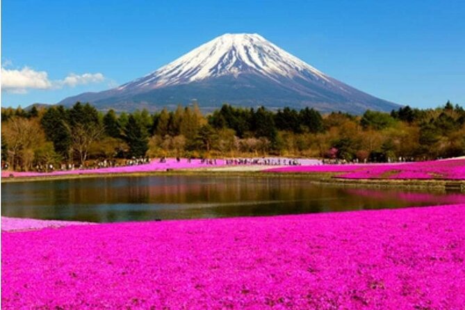 Mt Fuji, Hakone Private Tour by Car With Pickup - Conclusion