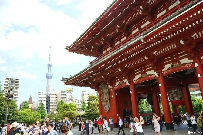 Private Tour by Car in Tokyo - Booking Details