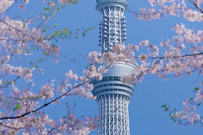 Private Tour by Car in Tokyo - Conclusion