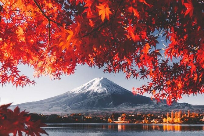 Mt. Fuji, Lake Kawaguchiko Private Tour With Pick up - Key Takeaways