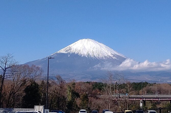 Mt. Fuji, Lake Kawaguchiko Private Tour With Pick up - Pickup Locations and Vehicle Options