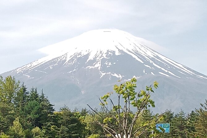 Full-day Private Exploration in Mount Fuji - Inclusions and Services