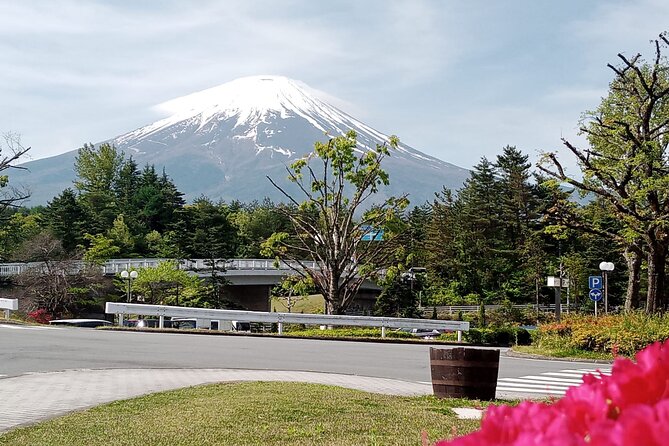 Full-day Private Exploration in Mount Fuji - Cancellation Policy