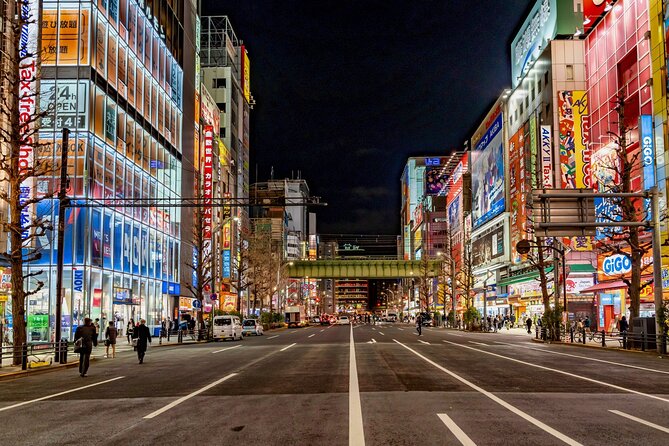 Akihabara Otaku Wonderland 100% Personalized TOUR - Key Takeaways