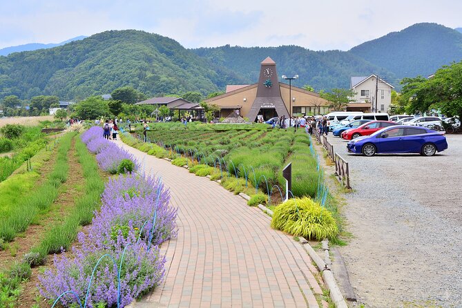 Mt.Fuji Tour: 3-Parks & The Healing Village in Fujiyoshida, Japan - Booking and Cancellation Policy