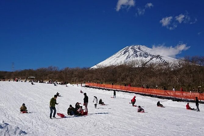 Full Day Guided Trip to Mt. Fuji and Hakone From Tokyo - Additional Info