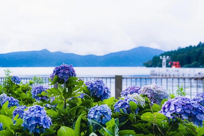 Full Day Guided Trip to Mt. Fuji and Hakone From Tokyo - End Point