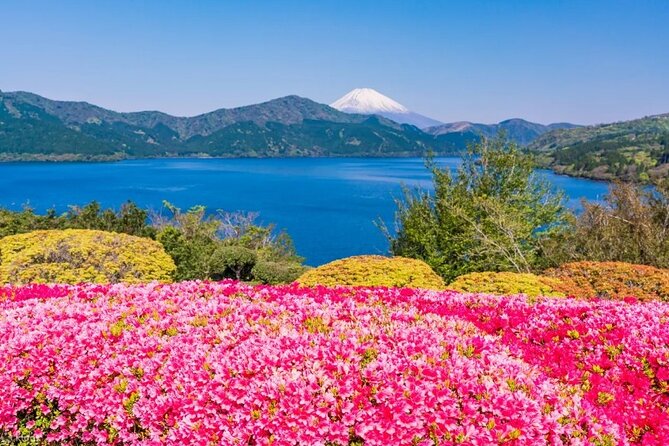 Full Day Guided Trip to Mt. Fuji and Hakone From Tokyo - Directions