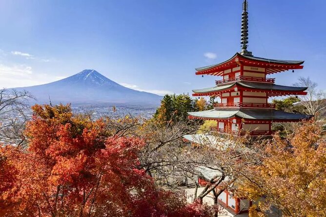 Mt. Fuji Roundtrip Tours From Shinjuku, Japan - Important Reminders