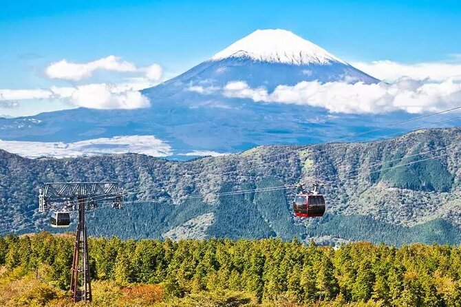 Hakone FreePass, 2-3 Days Japan - Reviews and Overall Rating