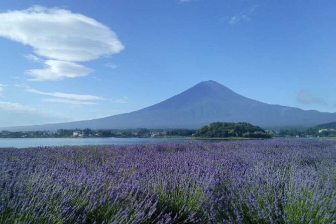 Mt.Fuji Day Tour From Tokyo With Chinese and English Service - Directions to Mt. Fuji