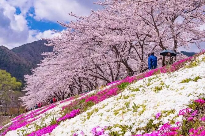 Mt. Fuji Day Tour From Shinjuku in Tokyo Japan - Note