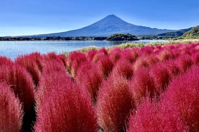 Mt. Fuji Day Tour From Shinjuku in Tokyo Japan - Additional Fees and Arrangements