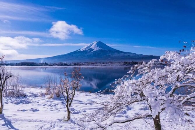 Mt. Fuji Day Tour From Shinjuku in Tokyo Japan - Conclusion