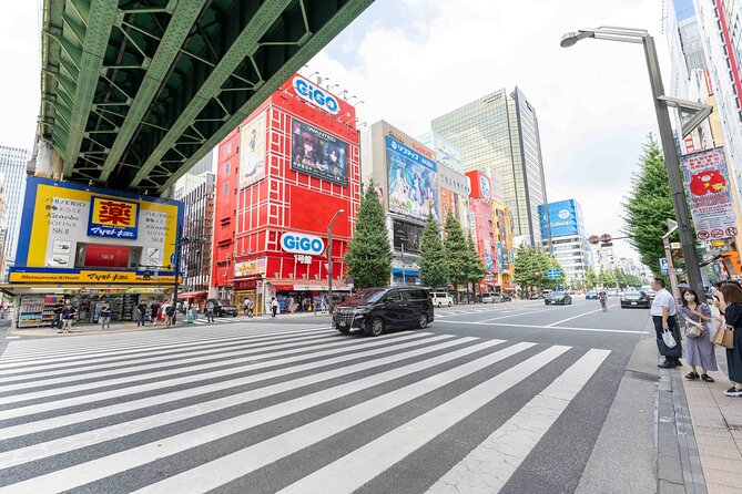 Exclusive Experience: Tailored Anime & Culture Tour in Akihabara - Weather Considerations